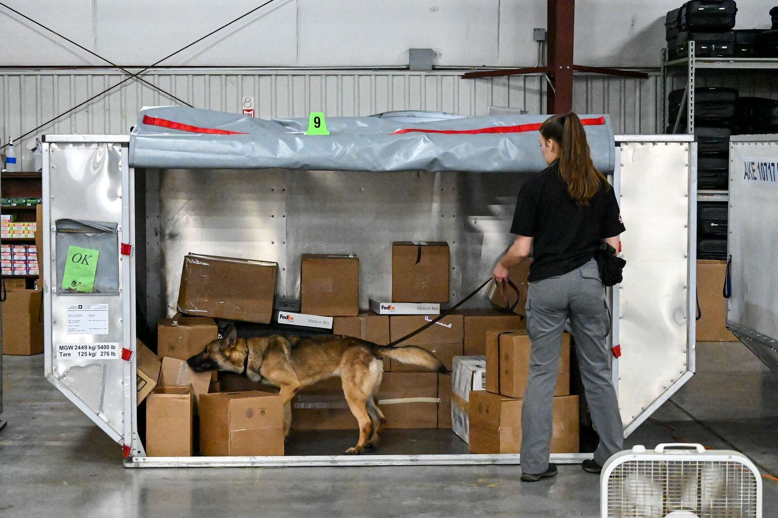 3PK Horizontal Cargo Search