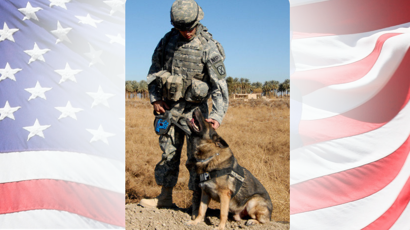 K9 VETERANS DAY: SOC CANINE HANDLER SHARES HEROIC EXPERIENCE WITH HIS CANINE ‘SAVIOR’