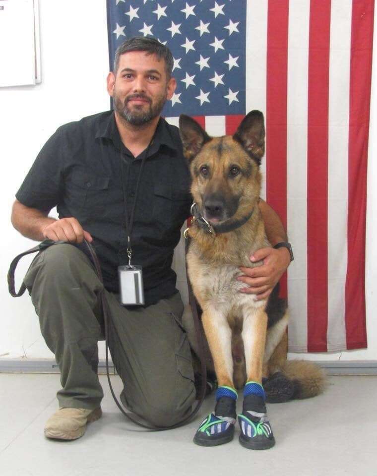 K9 Working Dog