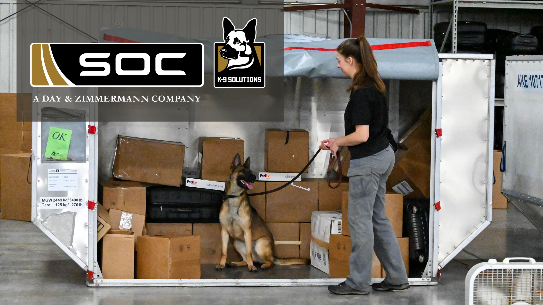 Four Reasons Why Canines Remain the Chosen Partner in Explosive Detection