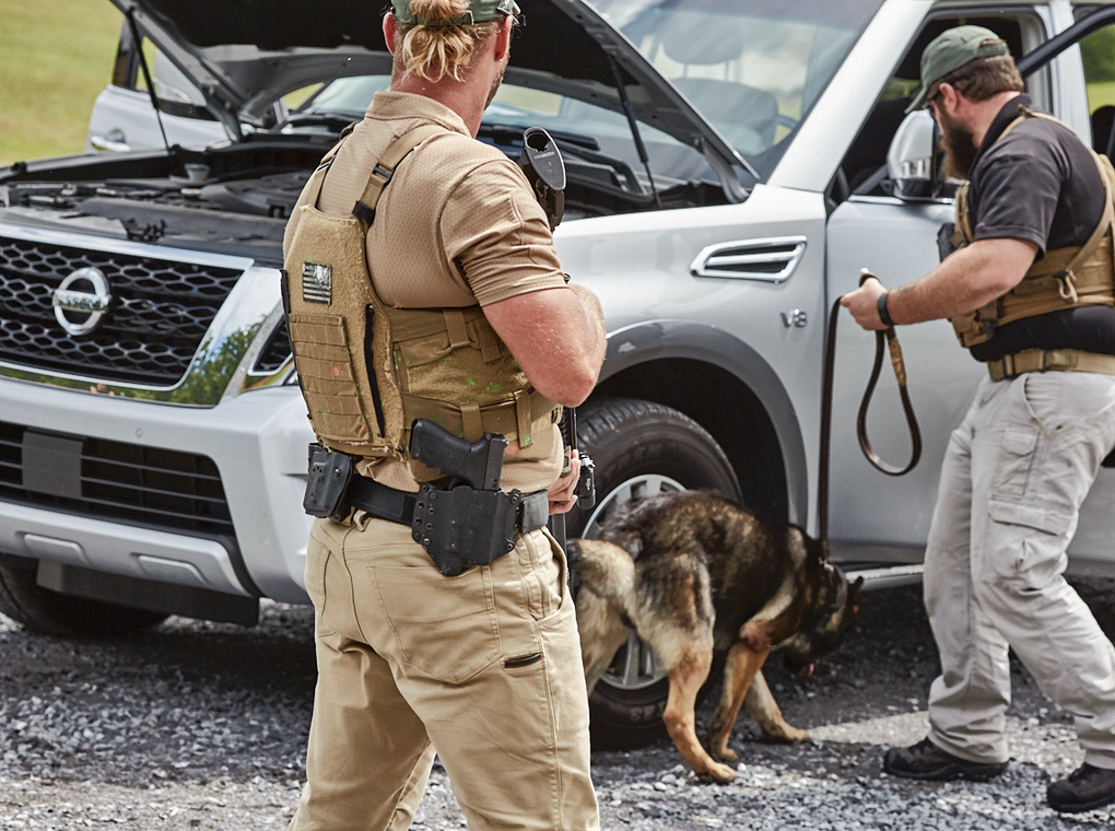 security personnel searching vehicle using explosive detection canine