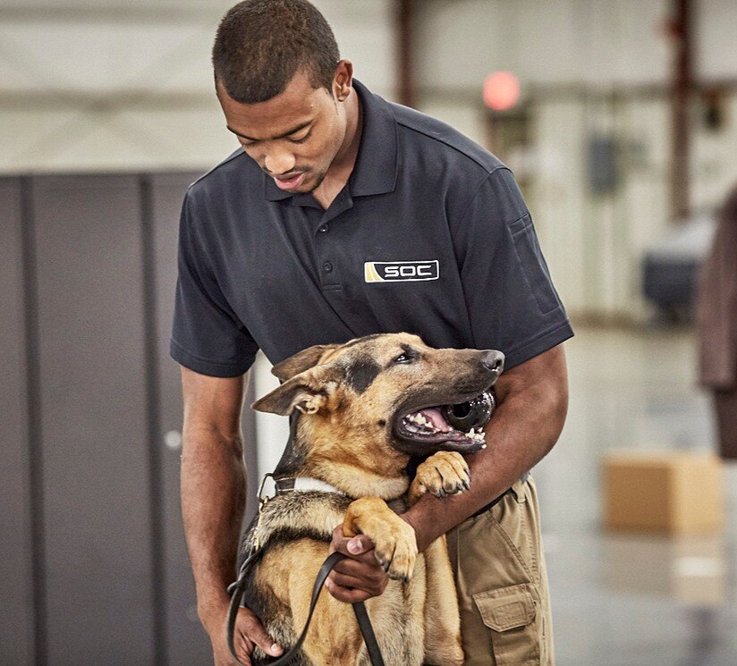 canine and handeler
