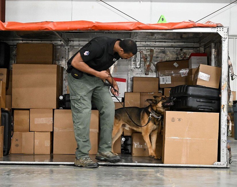 dog cargo search